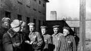 Бывшие узники концлагеря Освенцим демонстрируют советским офицерам виселицу, стоящую во дворе одного из блоков.