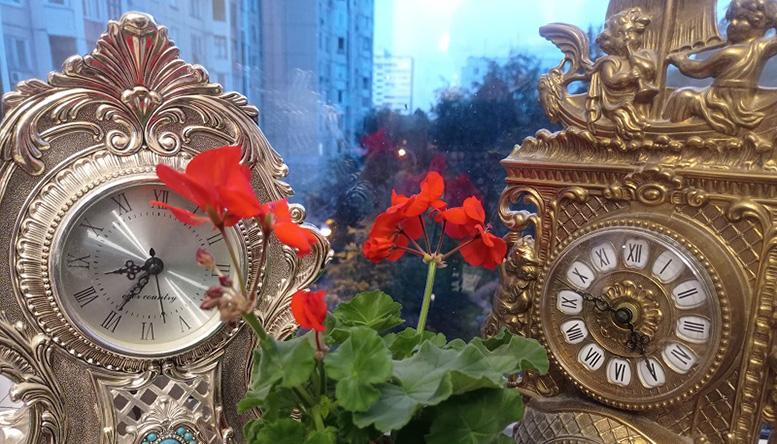 Времяпрепровождение