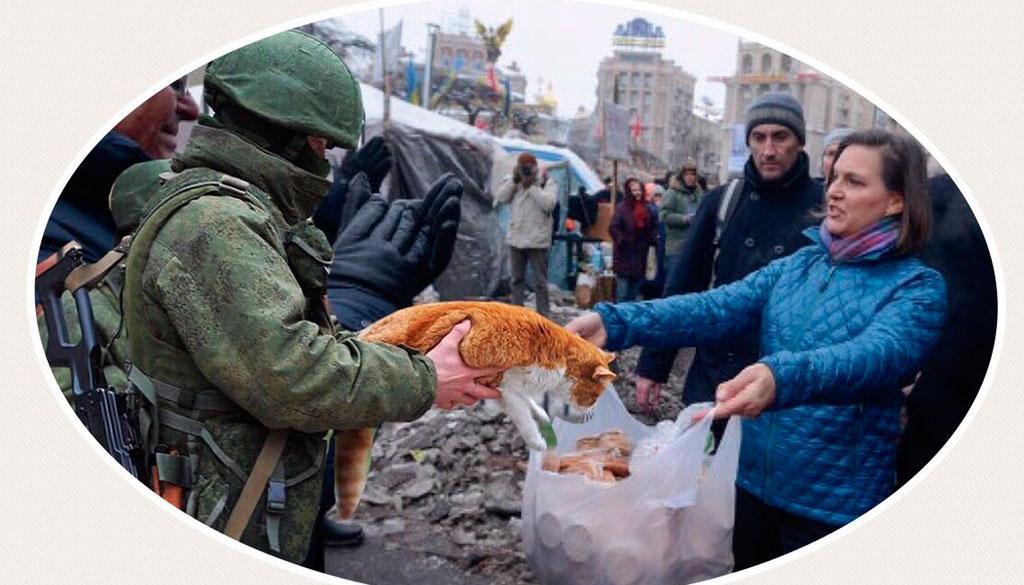 Наш ответ Нуланд